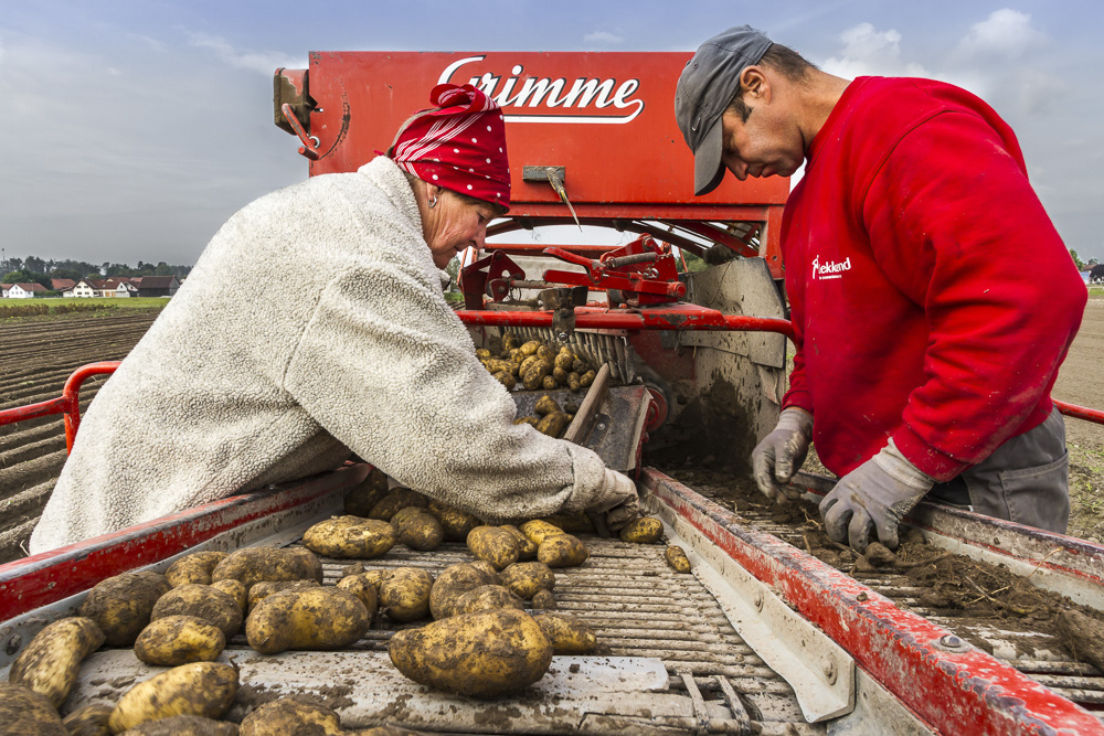 12. Platz Günter Bollenbacher